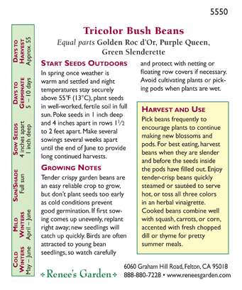 Gold Purple & Green Tricolor Bush Bean Seed Mix Renee's Garden