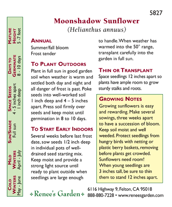 Renee's Garden Ornamental Sunflower Moonshadow Renee's Garden Ornamental Sunflower Moonshadow Flower Seed & Bulbs