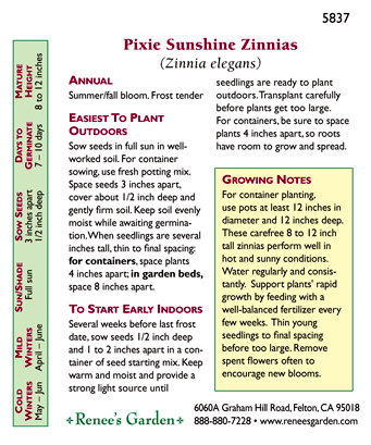 Renee's Garden Zinnia Pixie Sunshine - Grow Organic Renee's Garden Zinnia Pixie Sunshine Flower Seed & Bulbs