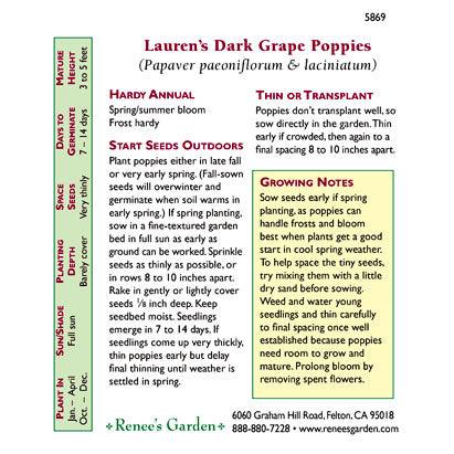 Lauren's Dark Grape California Poppy Flower Seeds Renee's Garden