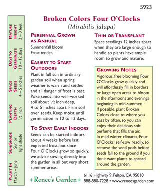Broken Colors Four O'Clock Flower Seeds Renee's Garden