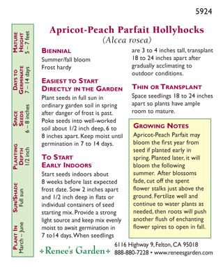 Renee's Garden Hollyhock Pom Pom Apricot-Peach Parfait Renee's Garden Hollyhock Pom Pom Apricot-Peach Parfait Flower Seed & Bulbs