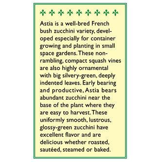 Astia Zucchini Summer Squash Seeds Renee's Garden