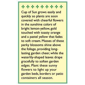 Cup of Sun Mounding Nasturtium Flower Seeds Renee's Garden