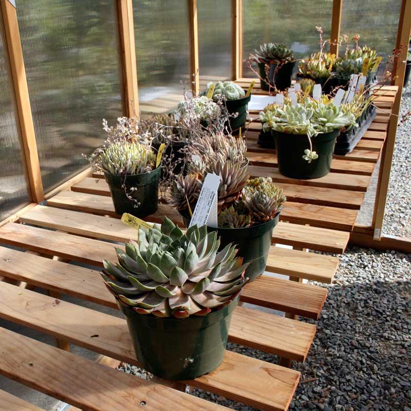 8' X 12' Greenhouse - Bench Kit (1 Bench) PV Drop Ship