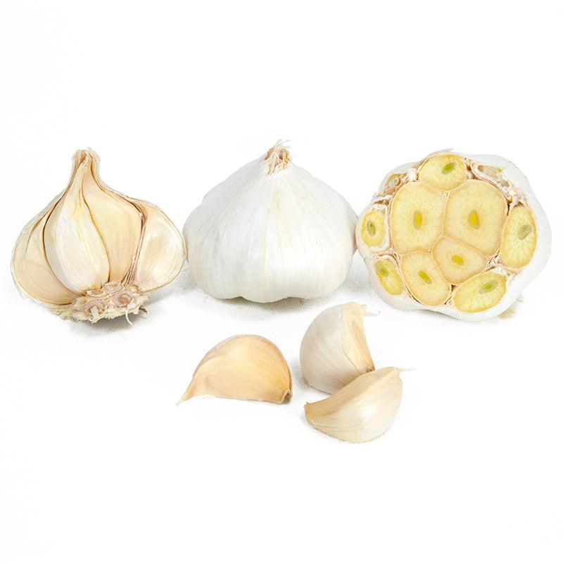 Organic Inchelium Red Garlic (lb) Grow Organic