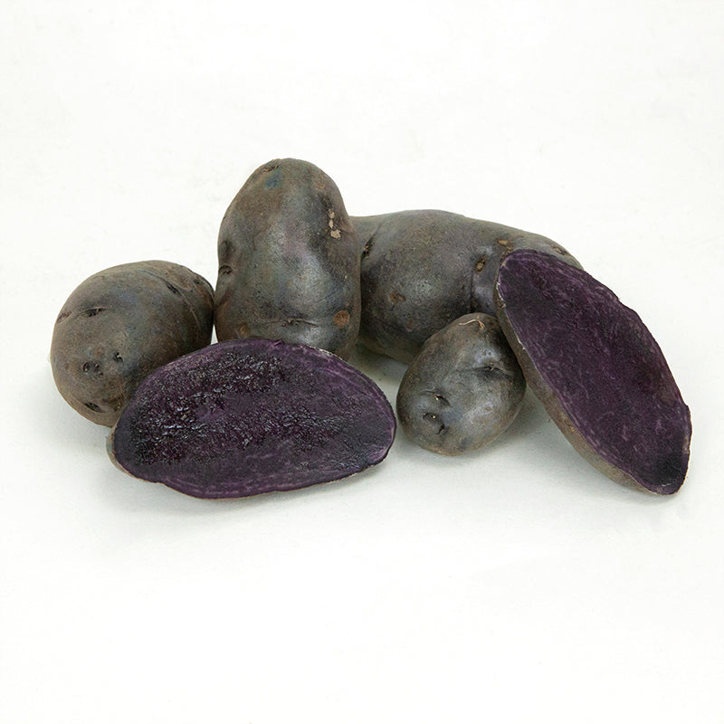 Organic Purple Fiesta Seed Potato (lb) Grow Organic