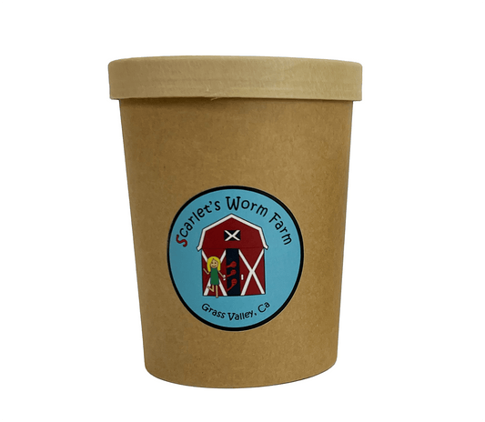 Scarlet's Worm Farm - 300 Composting Worms Scarlet's Worm Farm