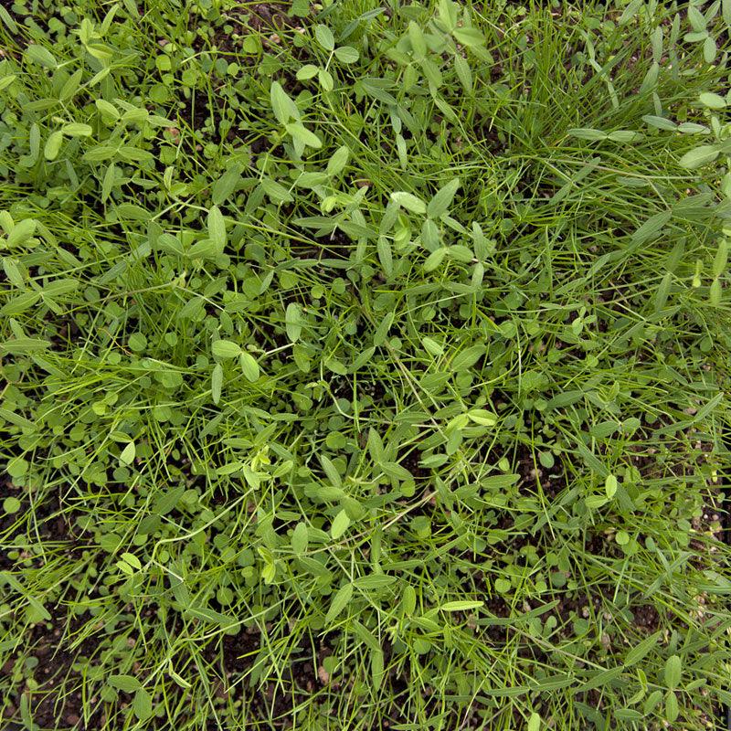 Peaceful Valley Dryland Erosion Fire Recovery Mix Nitrocoated (lb) Peaceful Valley