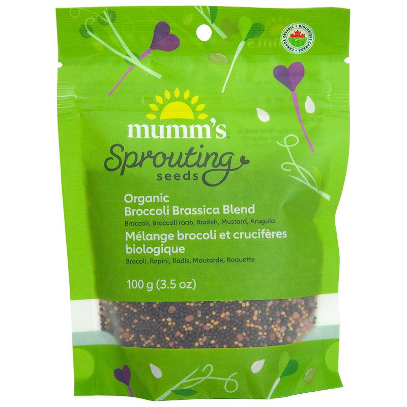 Organic Broccoli Brassica Sprouting Seed Blend Mumm's