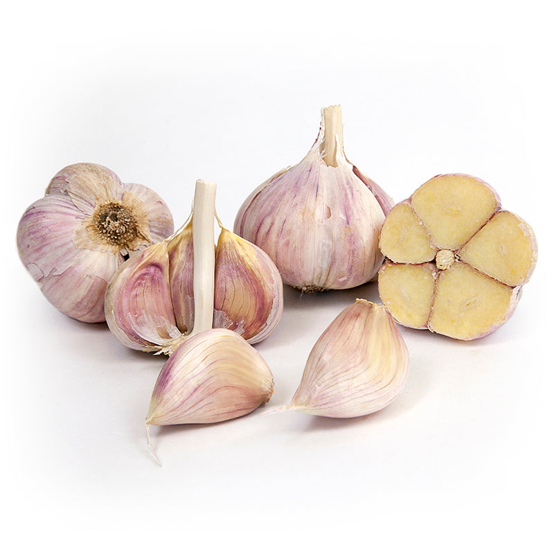 Organic Garlic, German White - Grow Organic Organic Garlic, German White (lb) Garlic, Onions & Leeks