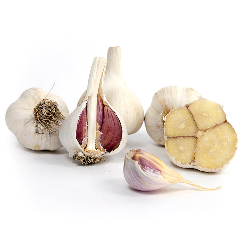 Organic Garlic, Music -Grow Organic Organic Garlic, Music (lb) Garlic, Onions & Leeks