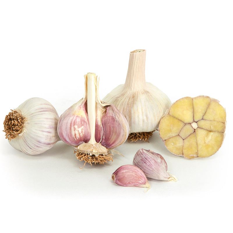 4 bulbs of Organic Siberian Garlic on a while background. Two are whole and one has cloves broken off, and one is sliced in half. The bulbs are white with purple stripes. The cloves have a deeper purple hue.