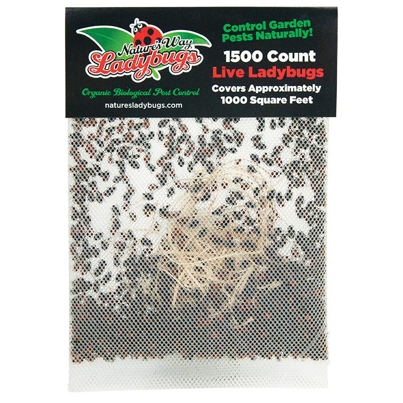 Ladybugs (Netted Bag of 1,500) - Store Pickup Grow Organic