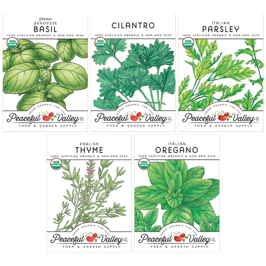 Peaceful Valley Cooking Herbs Seed Pack Collection includes Genovese Basil, Cilantro, Italian Parsley, English Thyme, and Italian Oregano.