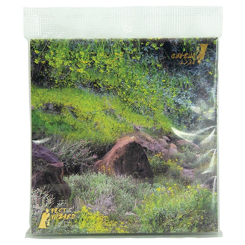 Pest Wizard BUGS in the PANTRY 2-Pack Andreas Canyon Pest Wizard