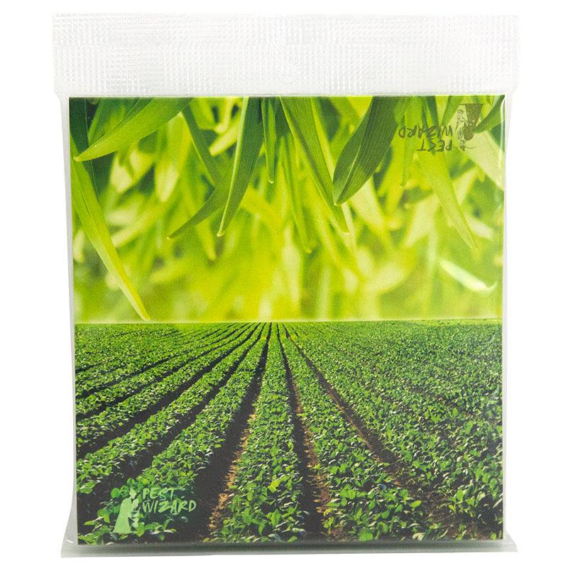 Pest Wizard BUGS in the PANTRY? 2-Pack Cool Green Pest Wizard