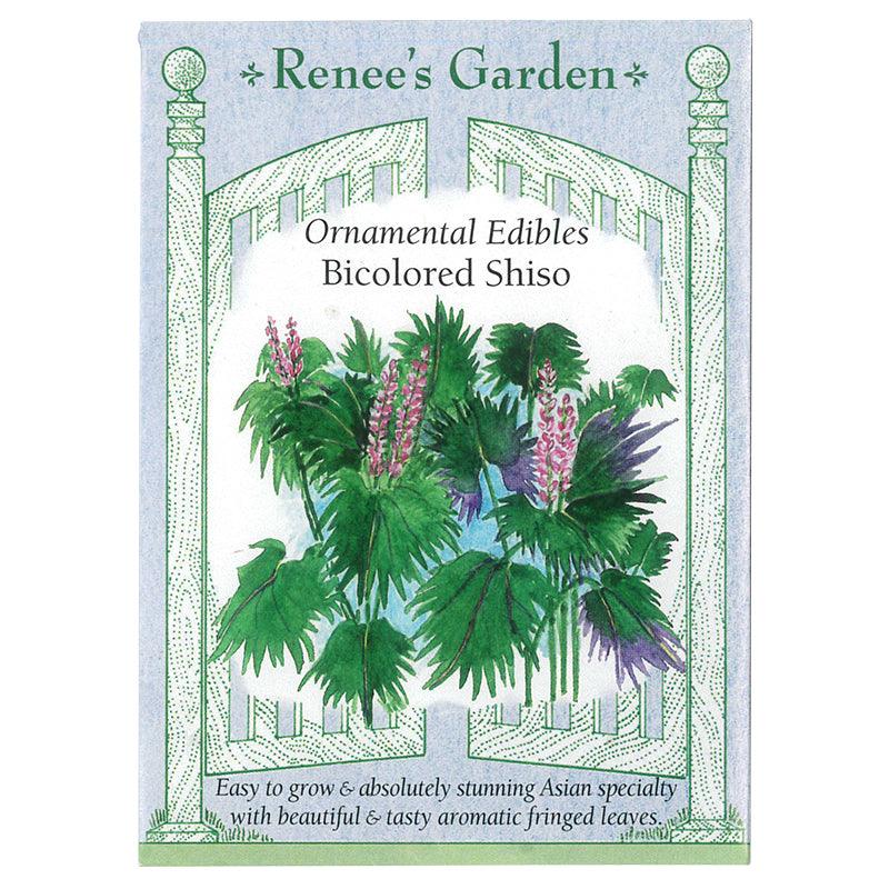 plant shiso seeds Renee's Garden Bicolor Shiso for Sale – Grow Organic