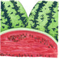 All Sweet Watermelon Seeds (Organic) - Grow Organic All Sweet Watermelon Seeds (Organic) Vegetable Seeds