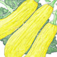 Early Straightneck Summer Squash Seeds (Organic) Early Straightneck Summer Squash Seeds (Organic) Vegetable Seeds