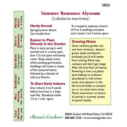 Summer Romance Alyssum Flower Seed Mix Renee's Garden