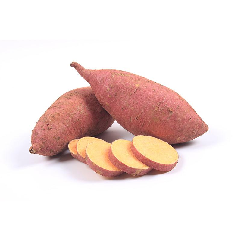 Bayou Belle Sweet Potato Grow Organic