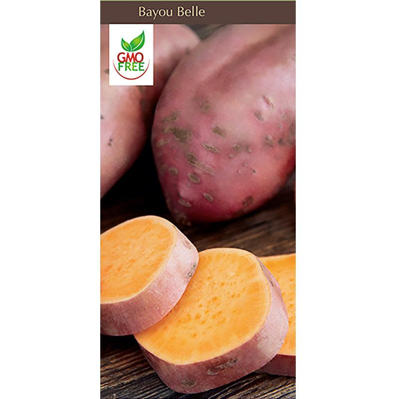 Bayou Belle Sweet Potato Grow Organic