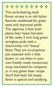 Roma Improved Bush Bean Seeds Renee's Garden