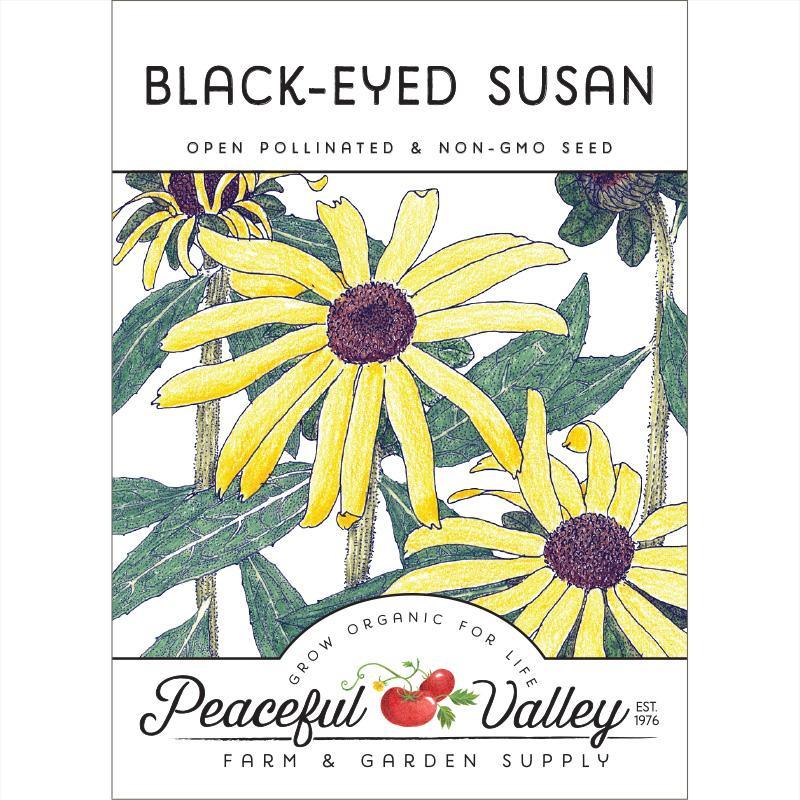 Black-Eyed Susan (pack) - Grow Organic Black-Eyed Susan (pack) Flower Seeds