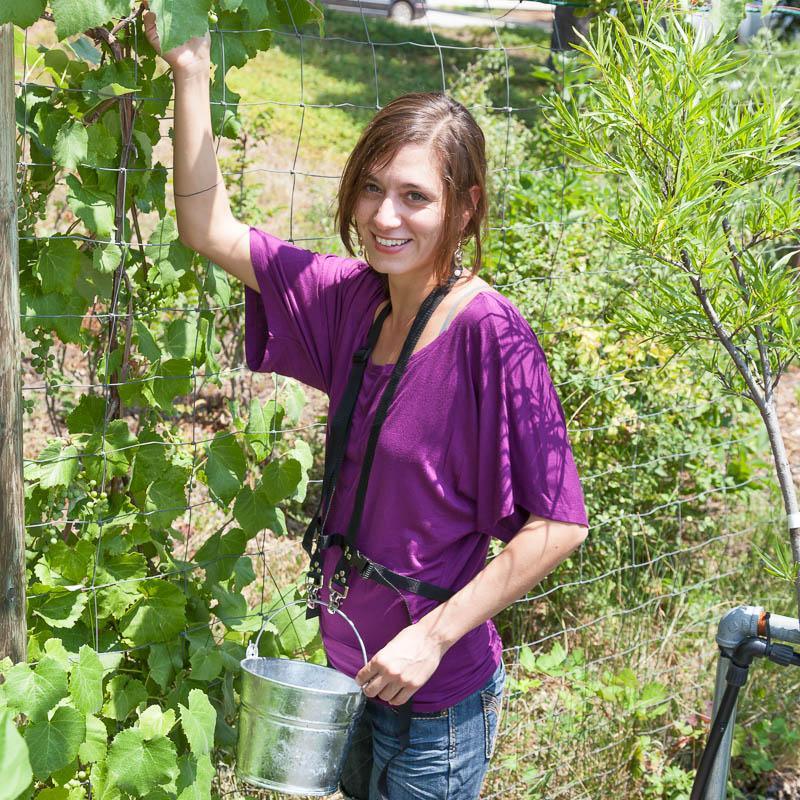 Blueberry Pail Picking Harness - Grow Organic