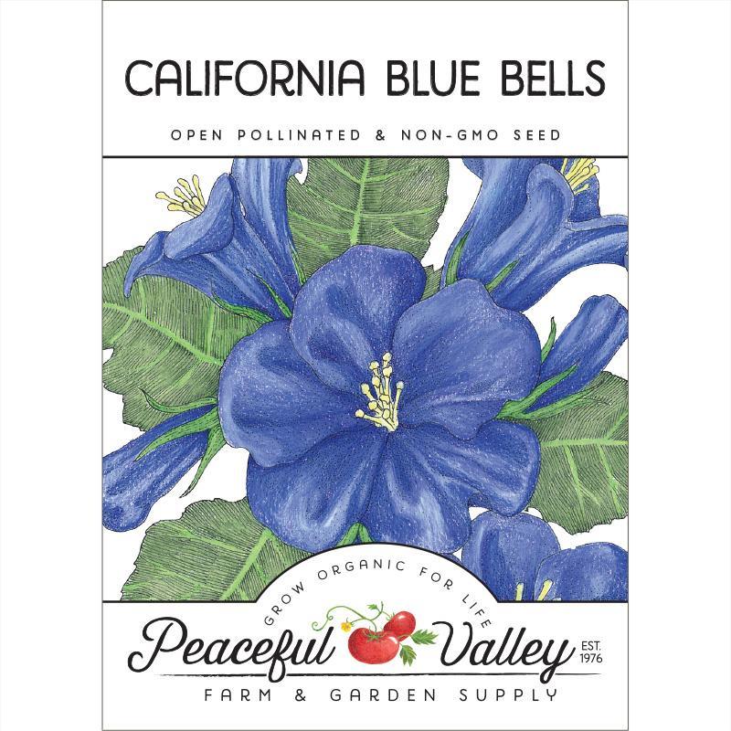 blue bell flower seeds California Blue Bells (pack)