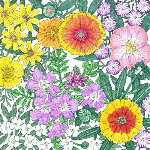 California Central Valley Wildflower Mix (1/4 lb) Peaceful Valley