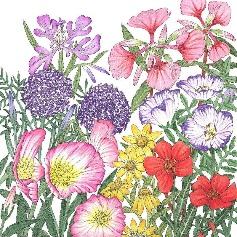 California Native Wildflower Mix (lb) Peaceful Valley