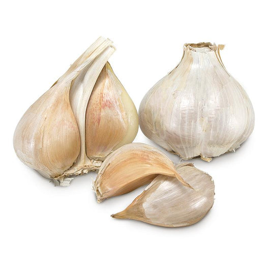 Conventionally Grown Garlic, Elephant - Grow Organic Conventionally Grown Garlic, Elephant (lb) Garlic, Onions & Leeks