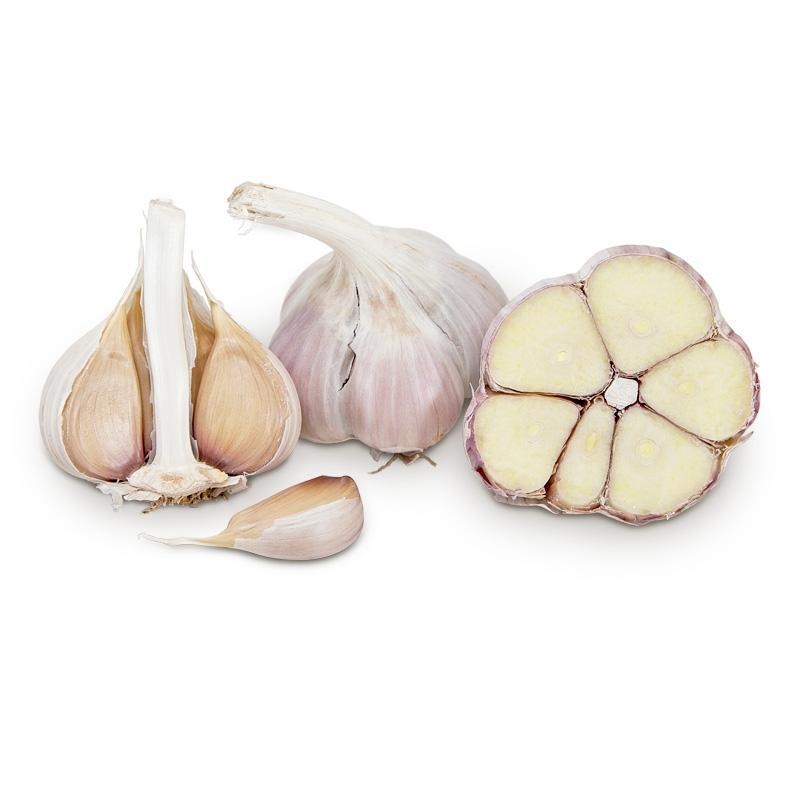 Metechi Garlic (lb) Grow Organic