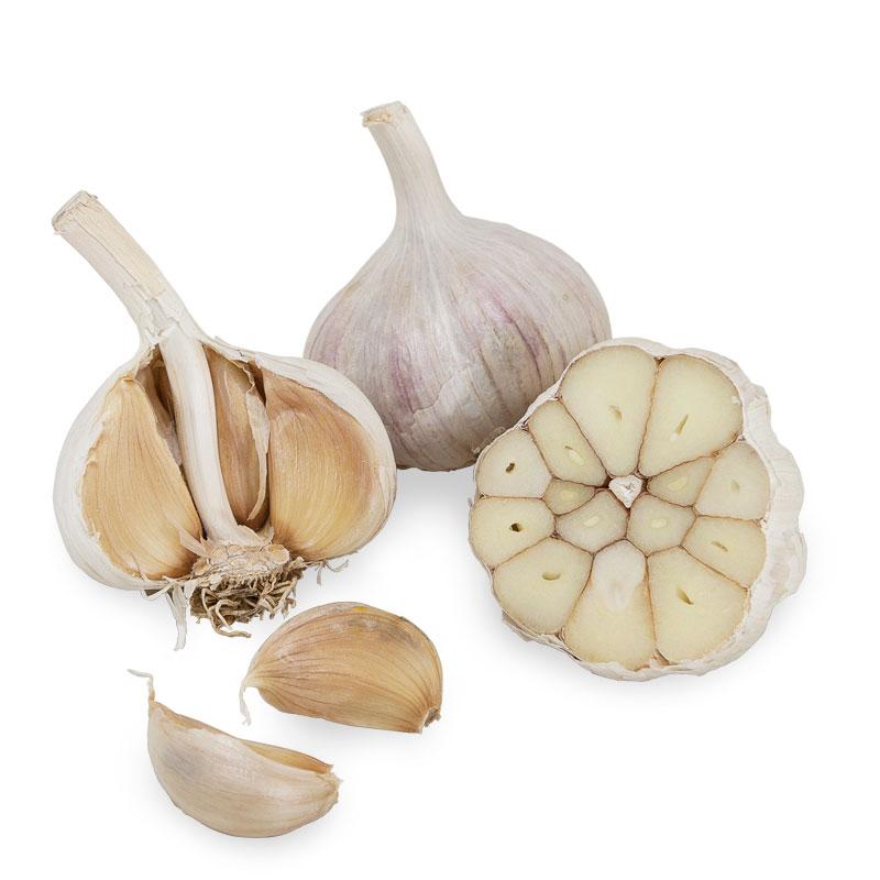 Conventionally Grown Garlic, Purple Italian Conventionally Grown Garlic, Purple Italian (lb) Garlic, Onions & Leeks
