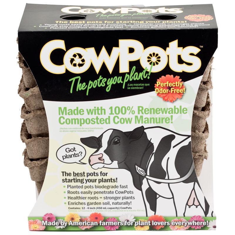CowPots - 4" Square (Pack of 12) Grow Organic