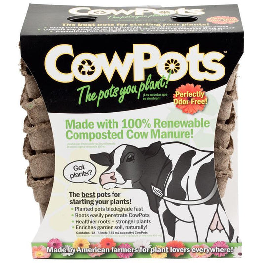 CowPots - 4" Square (Pack of 12) Grow Organic