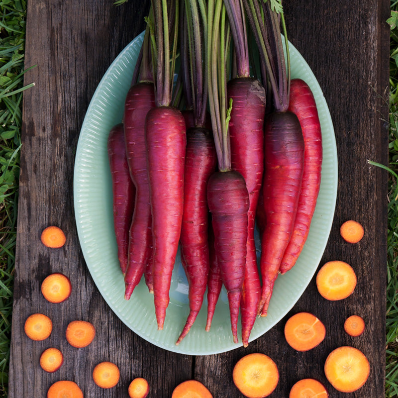 Dragon Carrot Seeds (Organic) - Grow Organic Dragon Carrot Seeds (Organic) Vegetable Seeds