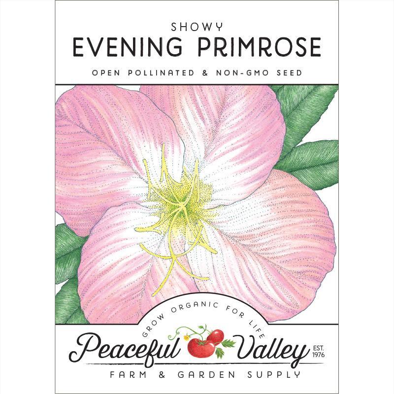 evening primrose flower seeds Evening Primrose, Showy (pack)