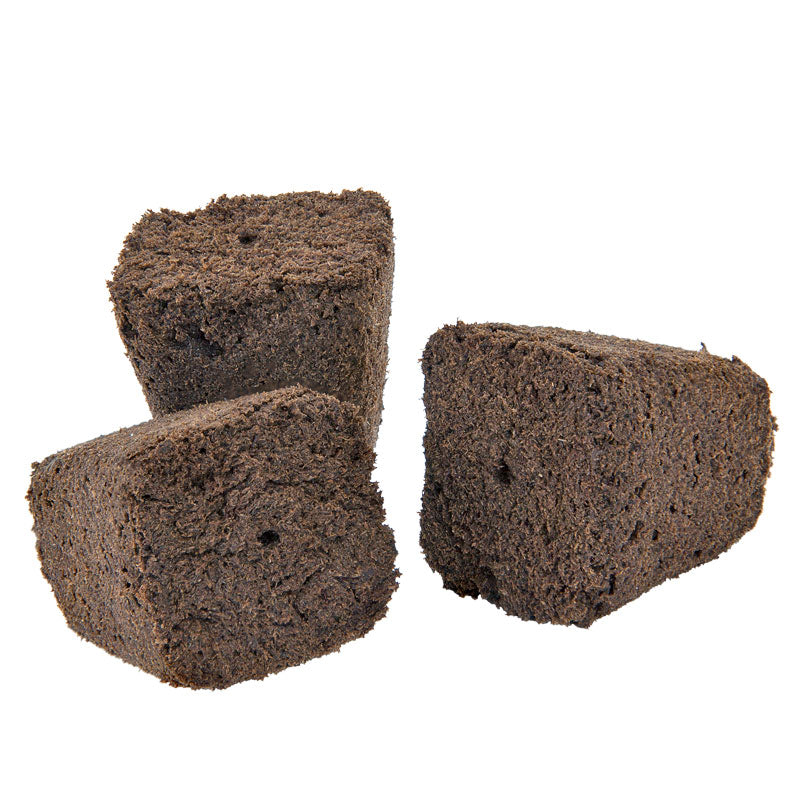 Root Riot Cubes (100/bag) - Grow Organic Root Riot Cubes (100/bag) Growing