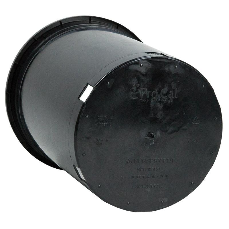 Black Plastic Pot (5 gallon size) - Grow Organic Black Plastic Pot (5 gallon size) Growing