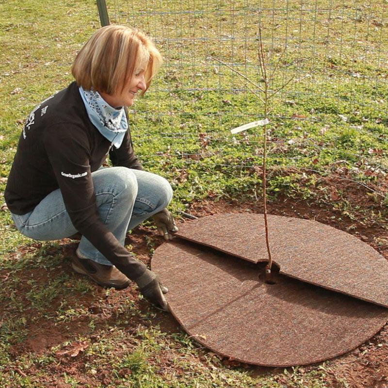 Coco Fiber Weed Mat - 24" Diameter Grow Organic