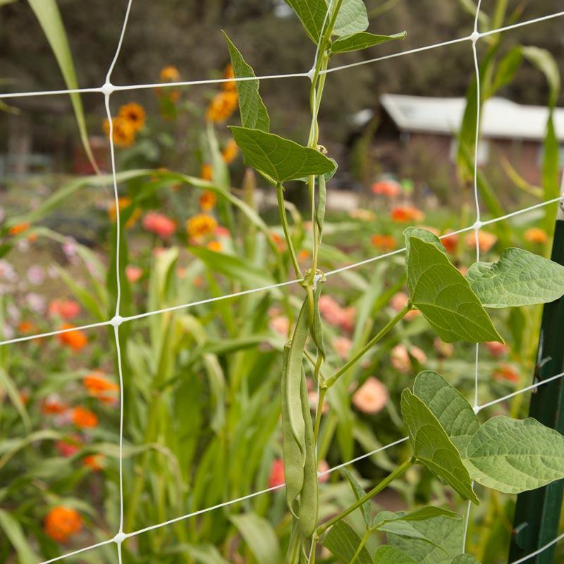 Hortonova Trellis (4' x 100') Hortonova