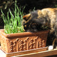 Renee's Garden Cat Treats Gourmet Mixed Greens Renee's Garden Cat Treats Gourmet Mixed Greens Vegetable Seeds