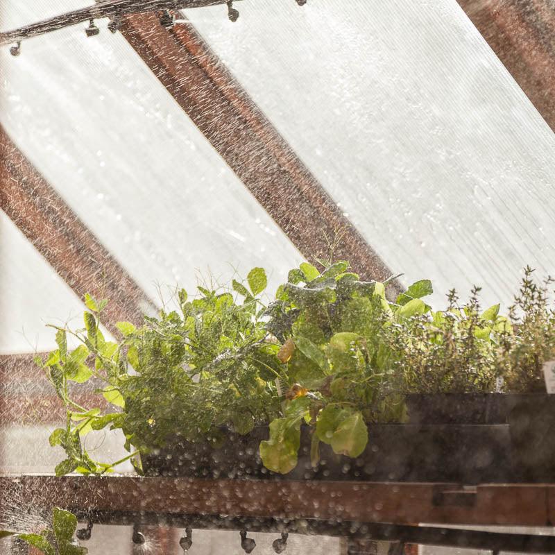 Fogger Mister Grow Organic