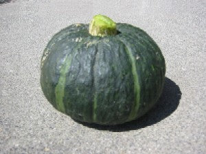 Kabocha Winter Squash Seeds (Organic) - Grow Organic Kabocha Winter Squash Seeds (Organic) Vegetable Seeds