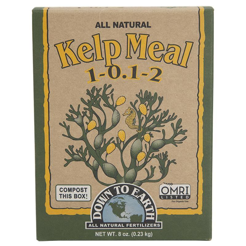 Kelp Meal 1-0.1-2 (0.5 lb Box) Down to Earth