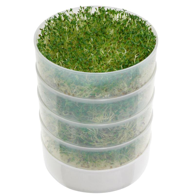 Kitchen Crop Round 4-Tray Seed Sprouting Kit Grow Organic