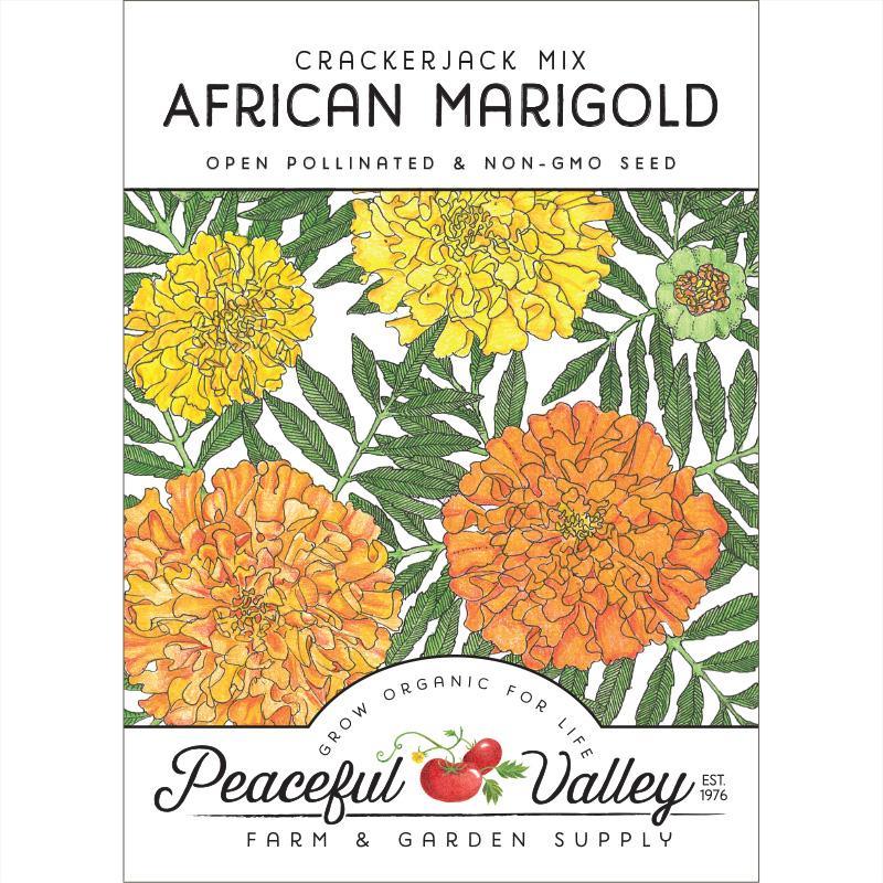 Marigold, African (pack) - Grow Organic Marigold, African (pack) Flower Seeds